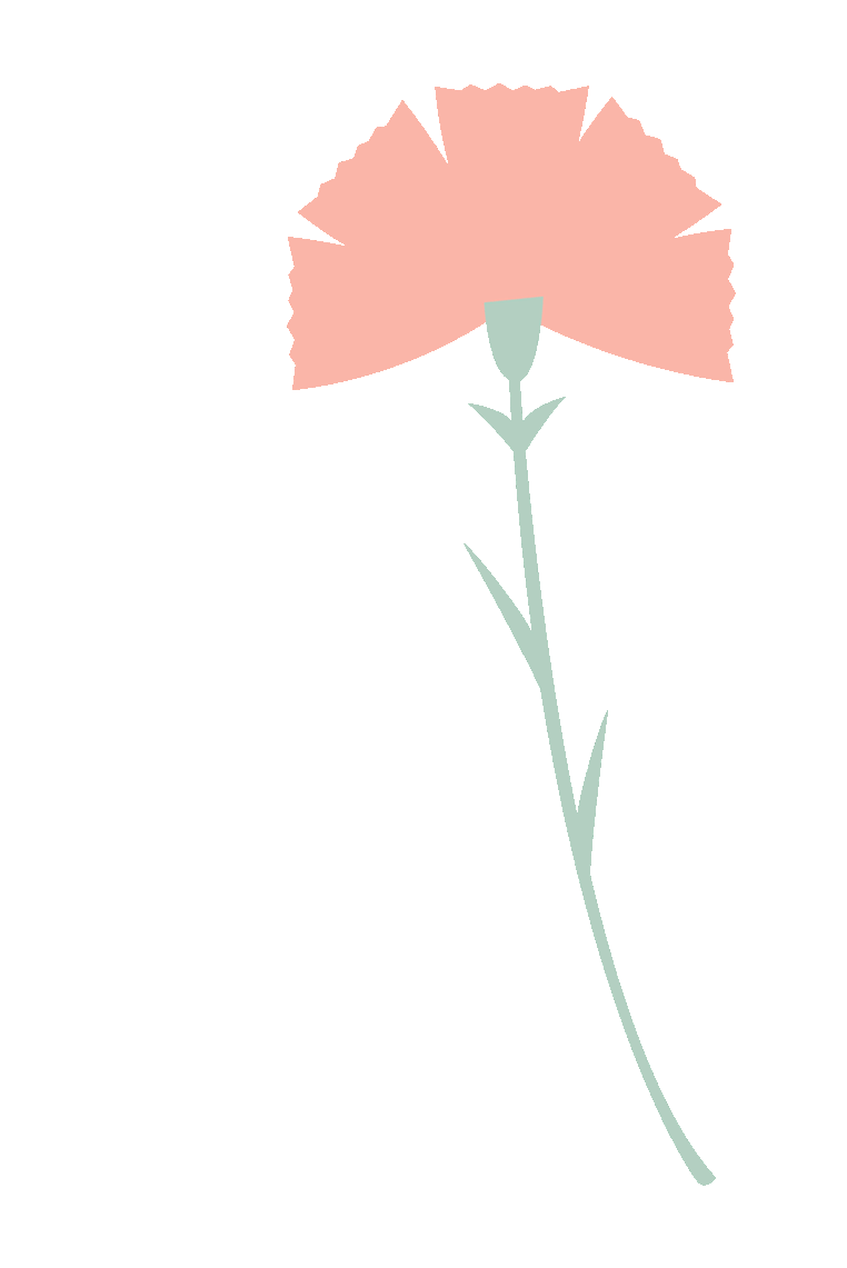 64677e153fcfa.png